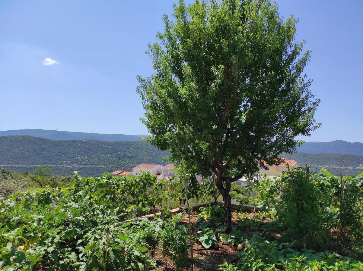 One Bedroom Apartment Gogo With Private Parking Neum Exterior foto