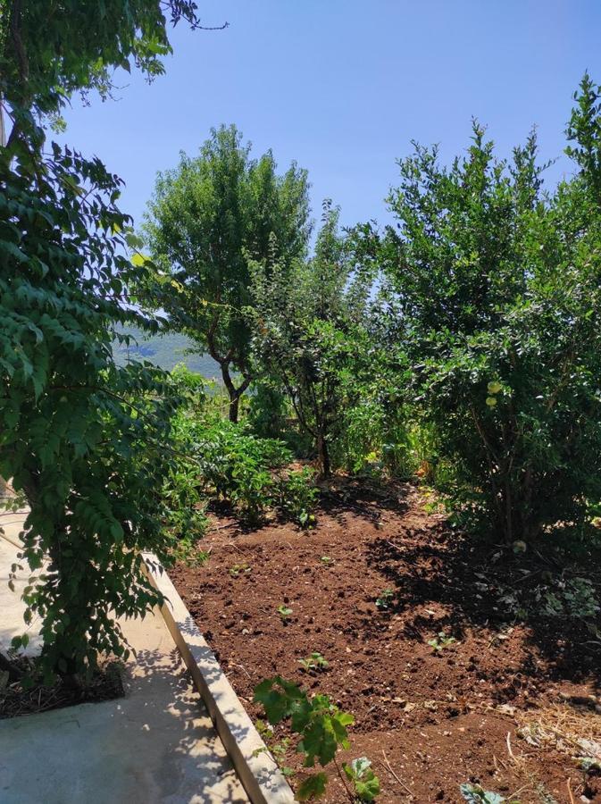 One Bedroom Apartment Gogo With Private Parking Neum Exterior foto